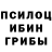 Галлюциногенные грибы прущие грибы RTRRRWE EREFEF