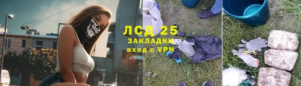 spice Богородицк