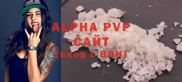 spice Богородицк