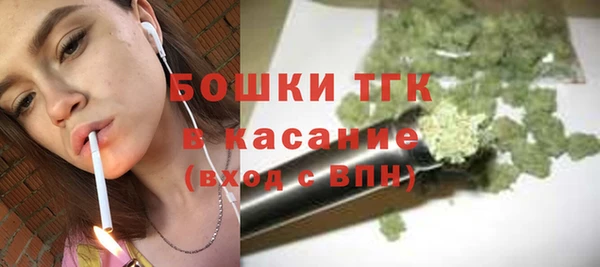 spice Богородицк