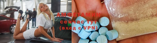 spice Богородицк