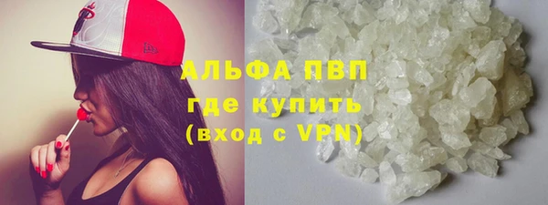 стафф Богданович