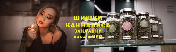 стафф Богданович
