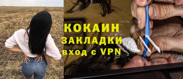 spice Богородицк