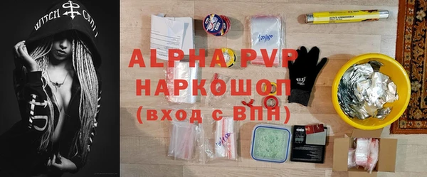 spice Богородицк