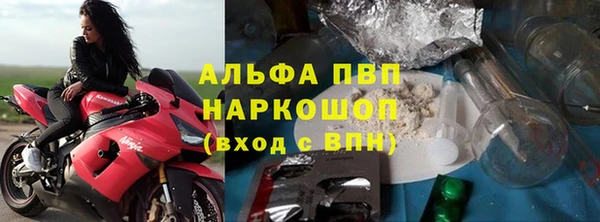 стафф Богданович