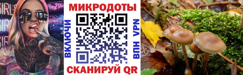 Псилоцибиновые грибы мицелий  где купить   KRAKEN   Кувшиново 
